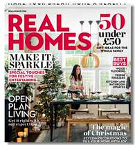 Real Homes 2020-12 om-jjsj CP