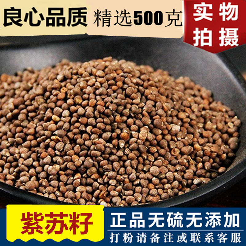 Chinese Herbal Medicine Purple Suseed 500 gr Purple Suzi Wild to Grind Purple Suseed Powder