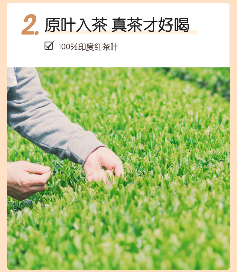 元气森林 茉香奶绿 0蔗糖低脂 450ml*12瓶 图7