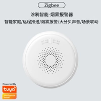 Граффити Смарт-Смок с сигнализацией (Zigbee Edition) Высококачественная модель высокого класса