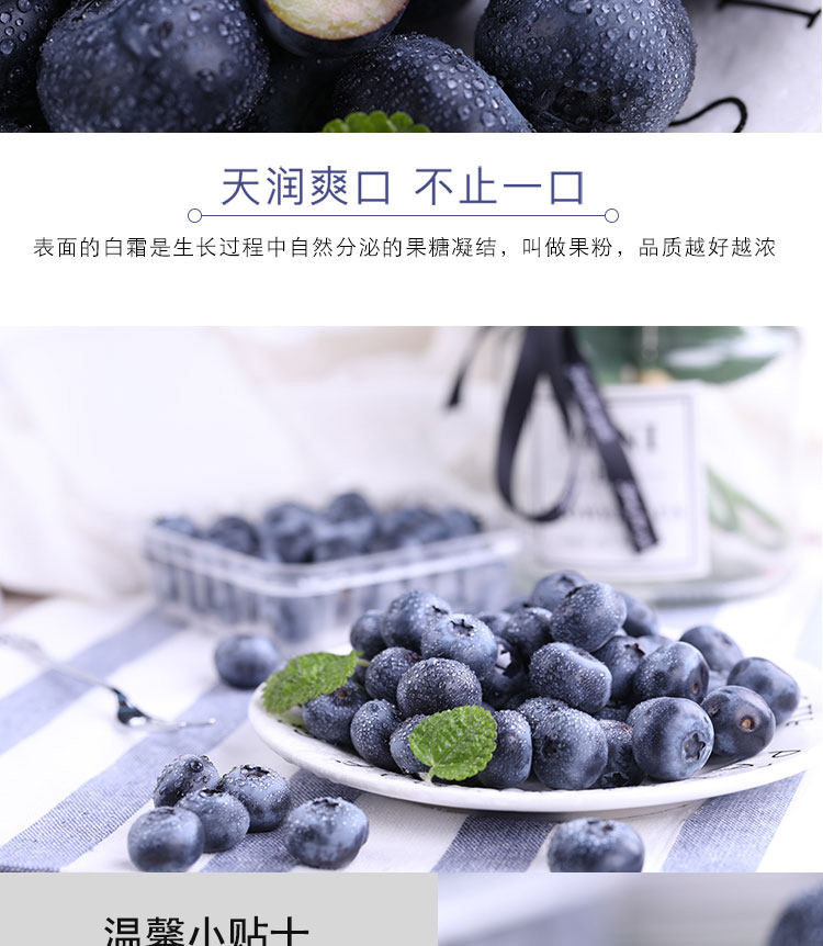 丹东 新鲜蓝莓鲜果 500g 现摘现发 图11