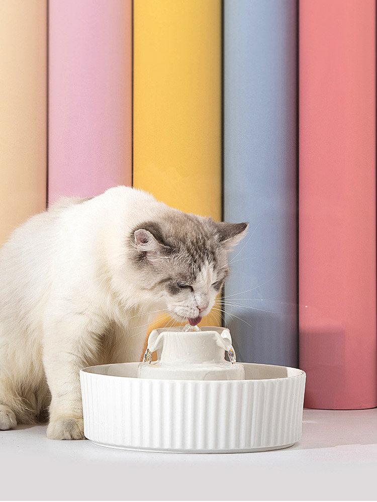 Cake Ceramics Global Light Pet Catty Water Drinking Machine Automatic Recycling Dog Drinker Flow Feeder