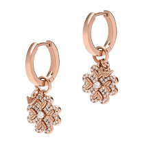 (Self-operated) Armani Armani four-leaf clover lucky core earrings silver womens light luxury temperament gift for girlfriend