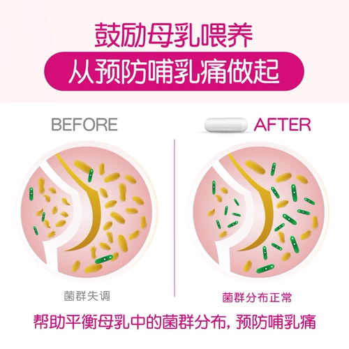 [Прямой бизнес] Wyeth Materna Opti-Lac Maternity Women's Propow 30 молочные лакты капсулы 30 капсул*3 коробки