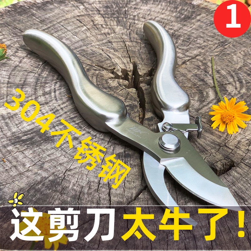 Import Cut Twigs Special Scissors Prunes Prunes 304 Stainless Steel Gardening Flowers And Grass Grape Fruit Trees Pluso Plant Cut