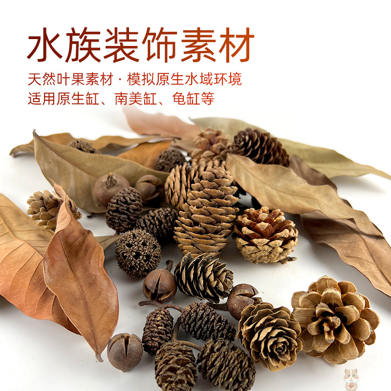 South American Tank Natural Tank Landscaping Decoration Materials: Natural Fallen Leaves, Fruit, Longan Leaves, Eucalyptus Leaves, Acid-Reducing Turtle Tank Landscaping Materials