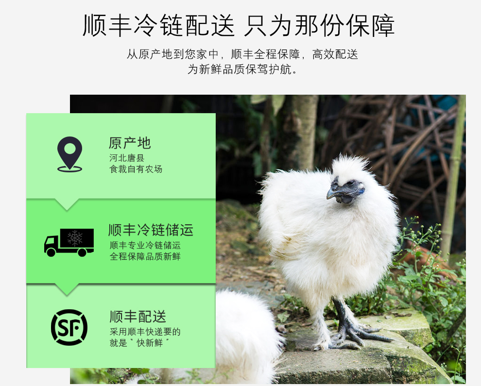 食裁 正宗农家散养乌鸡 新鲜现杀 净重2斤以上 图6