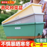 Овощная растительная коробочка прямоугольная яма