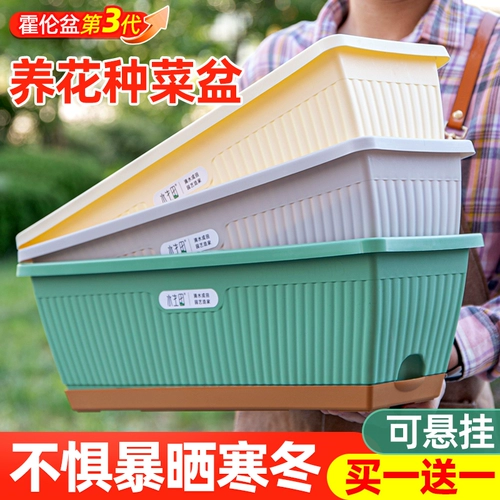 Овощная растительная коробочка прямоугольная яма