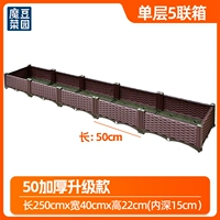 [50 улучшенное утолщение] Однослойная упаковка из 5 штук [листовые овощи и травы]