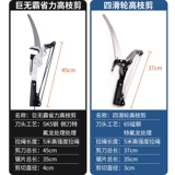 Высокие ветви, телескопические высоковысовые ветви фруктовых деревьев и удлиненные высокие ветви видели сады энергичные ножницы