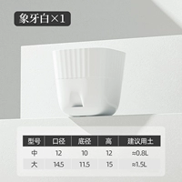 Ivory White [1 установка]