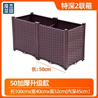 [50 улучшенное утолщение] Очень глубокая коробка на 2 предмета [Фруктовые деревья и бамбук]