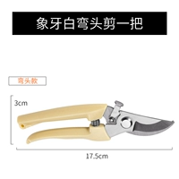 Осада белых сценариев слоновой кости