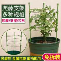 Flower rack climbing rattan rack monthly flower bracket green dill plant basin support rod Clematis climbing gardening fixed living room