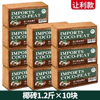 10 кокосовых кирпичей в твердой обложке