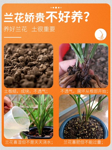 Кокосовая ракушка Кокосовая кирпичная кирпичная кирпичная орхида