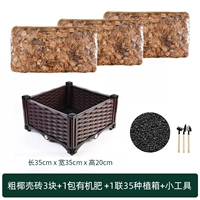 3 куска толстых кирпичей кокосовой оболочки+органические удобрения 30G+1 Union 35 Box+Small Tool