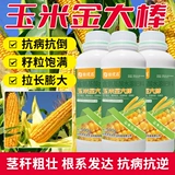 Вода из кукурузного золота -Современные удобрения удобрения и устойчивость к утолщению, анти -дисаза, анти -кадающе, анти -бальд, способствуя корням