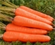 【3000 морковь】