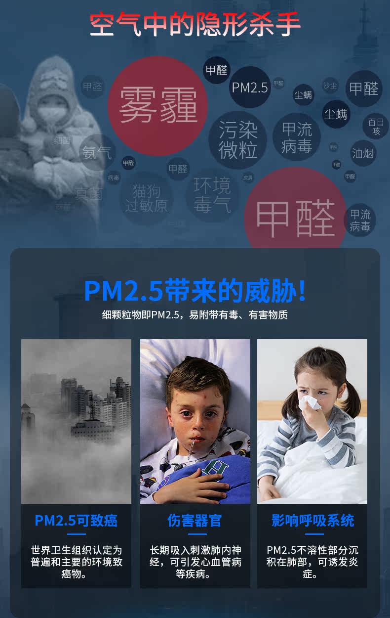 ZD45_06.jpg