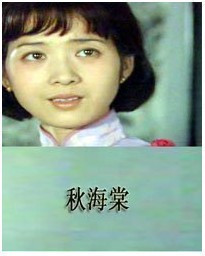 DVD version [Begonia] Gong Xue Liu Weiming 12 episodes 1 disc