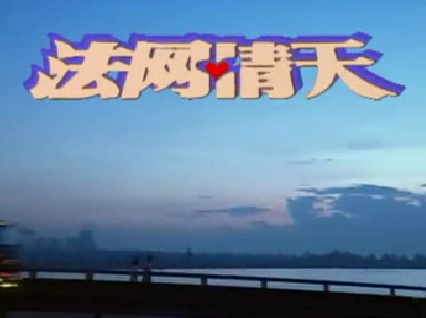 DVD machine version [French web love day] Chen's financial Chen Liping 30 sets of 4 discs