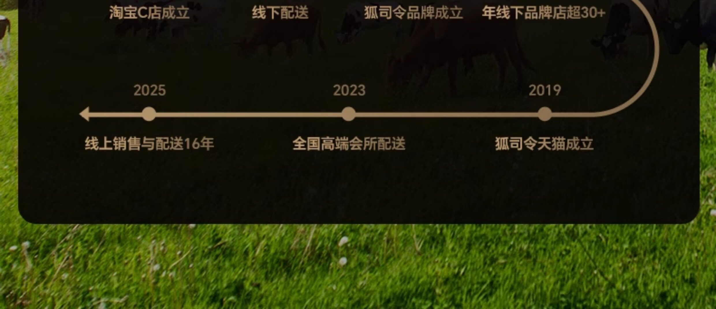 O1CN0174RcO01WizAAdvW3V_!!2200666902823.jpg