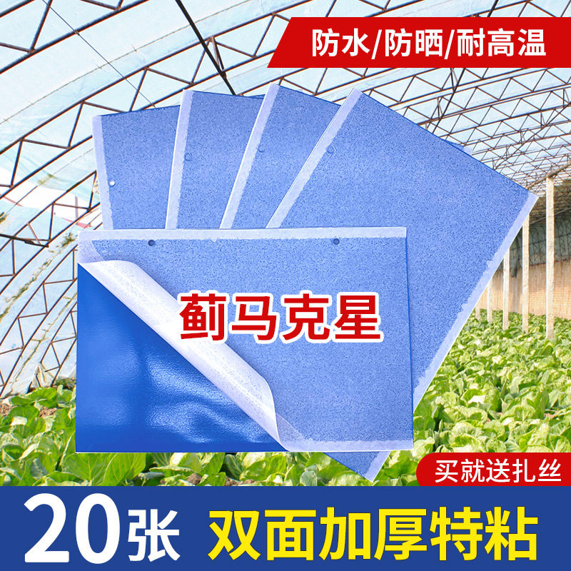 Blue board double-sided sticky insect board insect paper stickers blue flying insects small black flying dip trap sticky board thrips greenhouse special