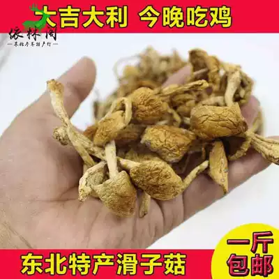 Northeast Changbai Mountain Luzi mushroom dry goods 250g Jilin Province specialty slippery mushroom small yellow mushroom dried meat stewed chicken