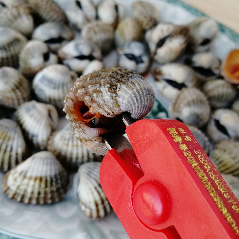 [USD 6.32] Hua ha clamp blood clam pliers blood hawk clam clam clamp ...