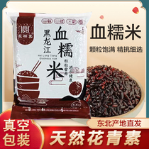 Yongxiang Longzong black glutinous rice northeastern purple rice blood glutinous rice commercial farm-made rice dumplings rice wine milk taro mud tea rice balls