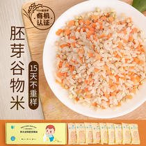 Bud sprout rice grains porridge rice 15 days non-heavy porridge rice complementary food 750g a box of small packaging