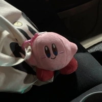 Звездная карта, чем плюшевая подвеска (3 выражения случайно выпущены