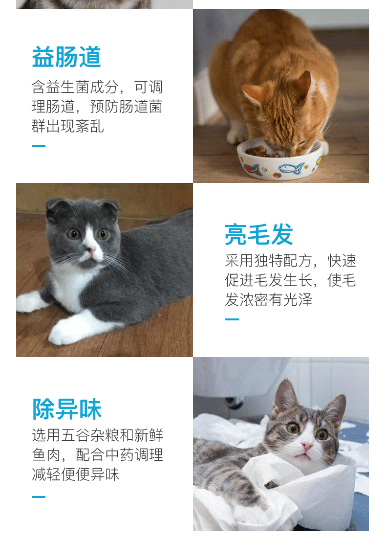 康 猫粮 thức ăn theo toa chó cưng nấm nấm bệnh da thuốc uống chó dog mèo nội khoa - Cat / Dog Medical Supplies máy siêu âm cho chó mèo