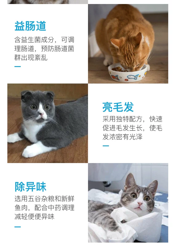康 猫粮 thức ăn theo toa chó cưng nấm nấm bệnh da thuốc uống chó dog mèo nội khoa - Cat / Dog Medical Supplies