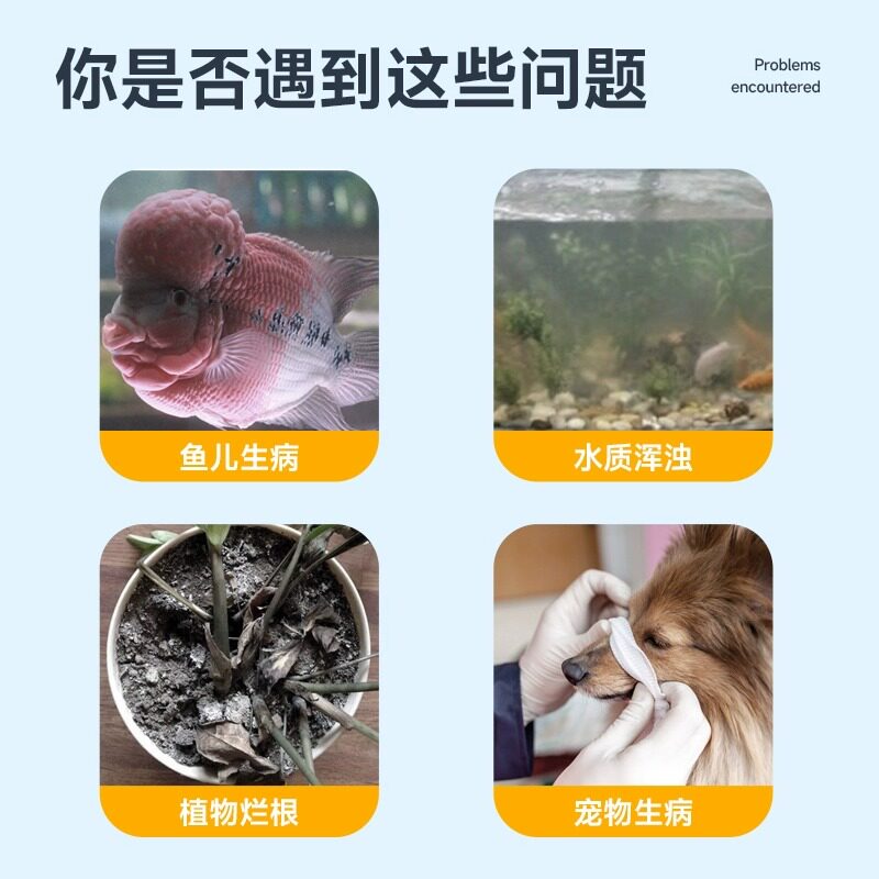 凯劳：神秘的宠物新星，为何它能俘获万千宠爱?-生活-淘宝百科网