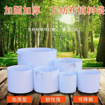 Nutritional Bag Nursery bag Large fruit tree transplanting planting bag non-woven cloth Vegetable Tree Planting Bag Rectangular Cuttage
