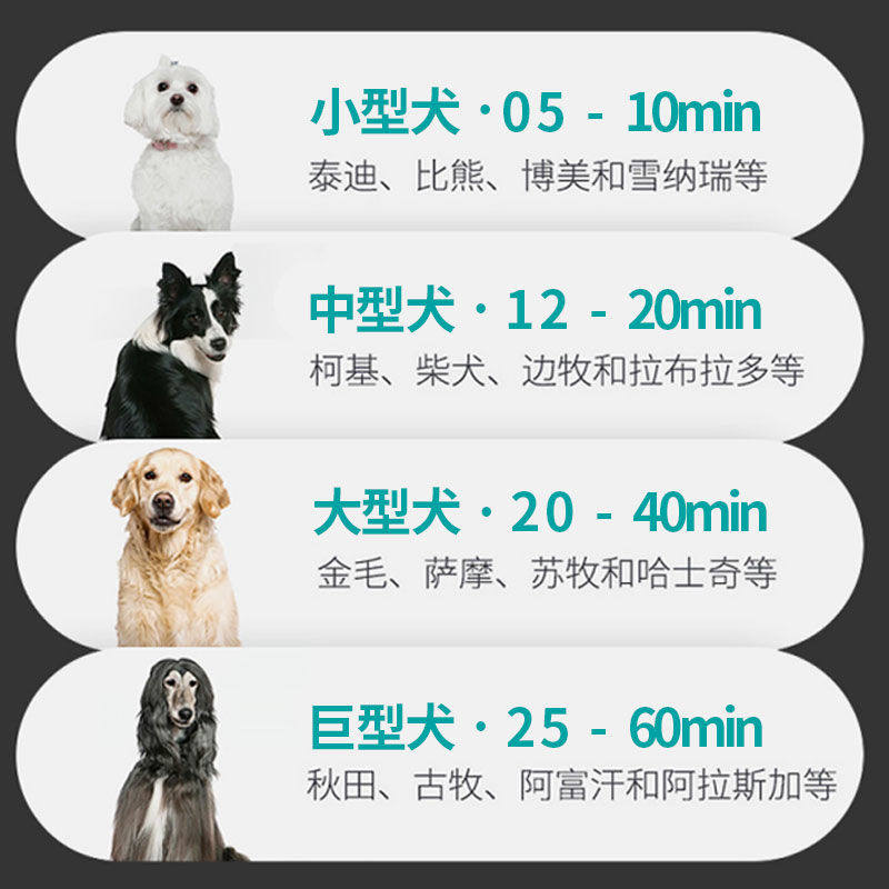 宠物吹水机狗狗大型犬小型猫咪吹狗毛神器大功率烘干机箱电吹风机