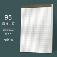 Бумажная книга [стиль сетки] объём B5/1