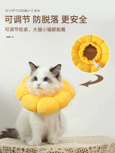 Элизабет Кэт Кот Кэт Абс Круг Круг Анти -гибкий короткий кот короткий кошачий кружок Круг Круг Круг Дог ПЭТ -продукты