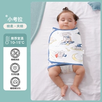 Класс A - Постоянная температурная зажим [Рекомендуемая комнатная температура 10-15 ℃] Маленькая коала