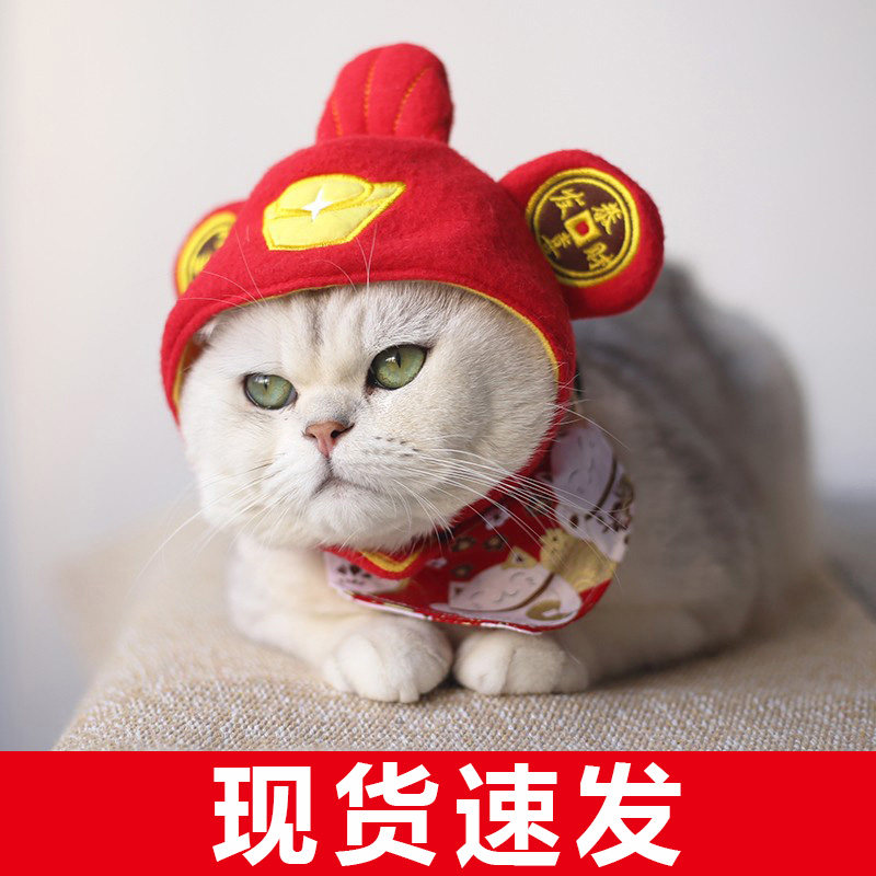 Xiangcai New Year pet cat Teddy than bear dog small dog god of wealth hat headgear cute dress