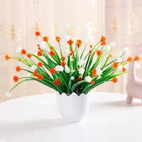 Полное небо милан цветок оранжевый белый