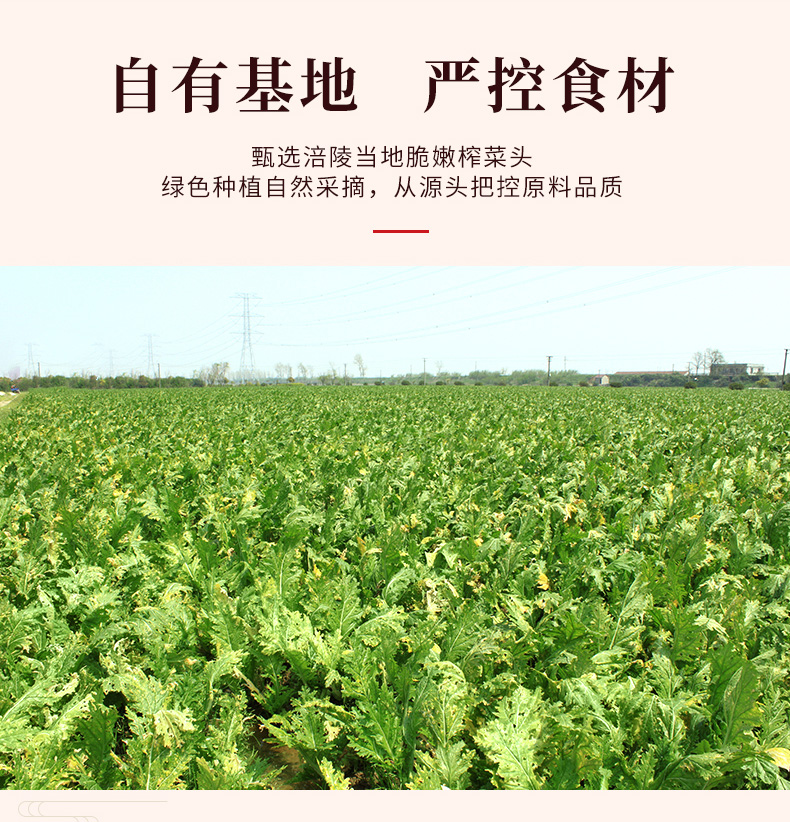 乌江脆口榨菜芯88g*10包/袋咸菜