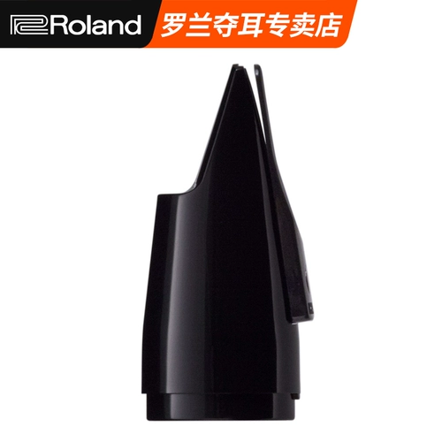 Roland AE-10 Blowing Toober Pibe Pipe Fib Flute Head Ae-05 Tub