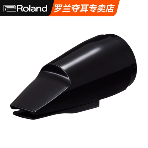 Roland AE-10 Blowing Toober Pibe Pipe Fib Flute Head Ae-05 Tub