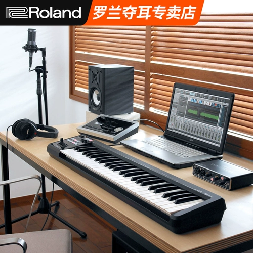 Roland 49-Key Midi клавиатура A-49 Портативная A-800PRO прочность индукции MIDI Электронная музыка