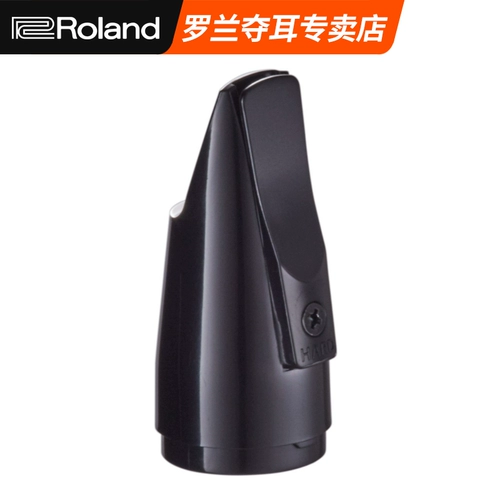 Roland AE-10 Blowing Toober Pibe Pipe Fib Flute Head Ae-05 Tub