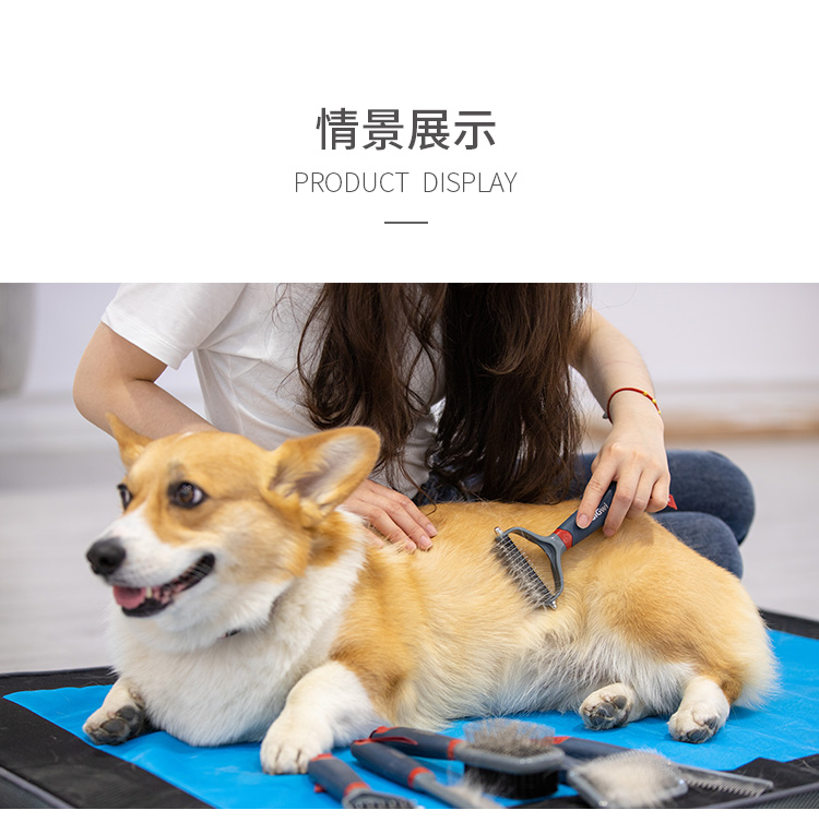 GiGwi đắt tiền cho thú cưng chải lông chó chải mèo chải tóc chải tóc chải tóc - Cat / Dog Beauty & Cleaning Supplies 	găng tay chải lông chó	